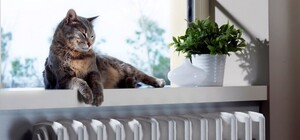 Когда отключат отопление в Запорожье в 2026 году: ориентировочные даты и условия завершения сезона