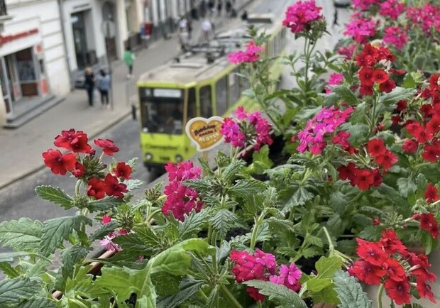 28 березня львів'ян кличуть на загальноміську толоку