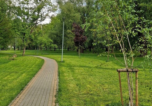 У Львові буде більше зелених зон