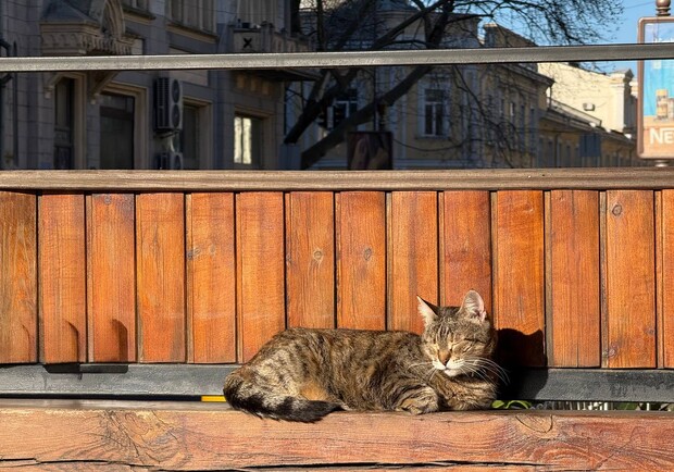 Перші дні квітня: яка погода буде в Одесі цими вихідними