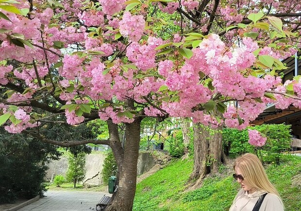 Львів'ян запрошують на екскурсію весняною Боднарівкою