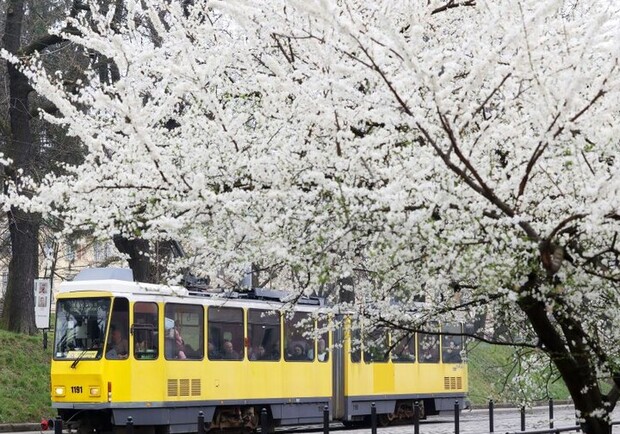 Львів — місто весни: топ фестивалів, ярмарків та екскурсій, які не можна проґавити