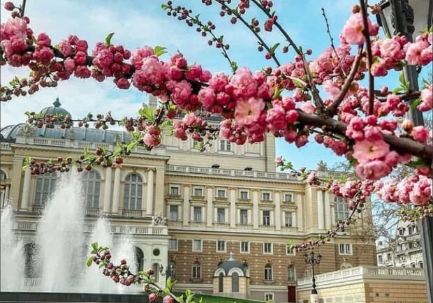 Від заморозків до +20 °С: яка погода буде в Одесі наступного тижня