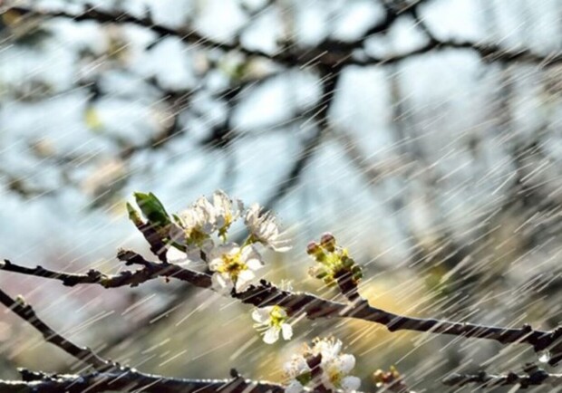 До +19 °С, але не без дощів: яка погода буде в Одесі цими вихідними