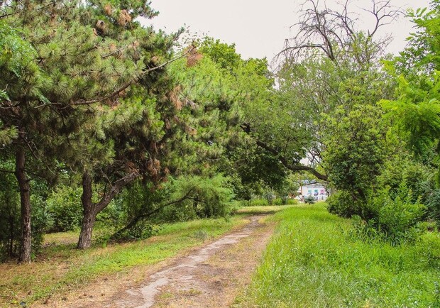 В Одесі повернули в державну власність землю біля Савицького парку
