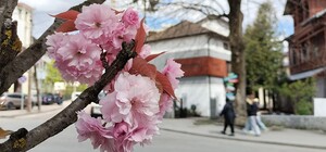 Выходные в Украине в мае 2026: сколько будем отдыхать
