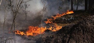 Пожар в Чернобыльской зоне продолжается: МВД сообщило об уровне радиации в Украине на 8 мая