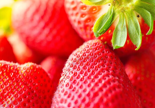 Де цими вихідними у Києві пройдуть продуктові ярмарки. Адреси