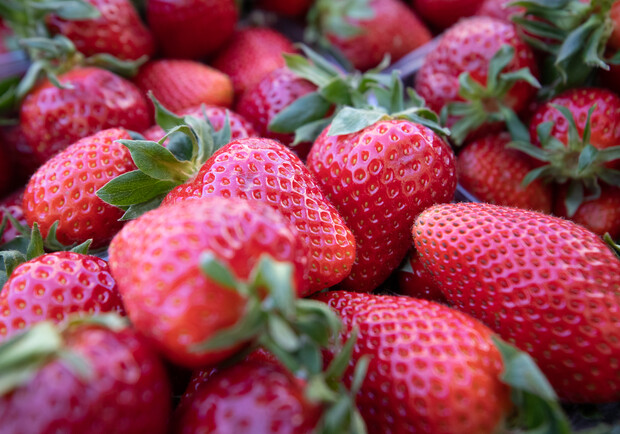 Де на цьому тижні у Києві пройдуть продуктові ярмарки. Адреси