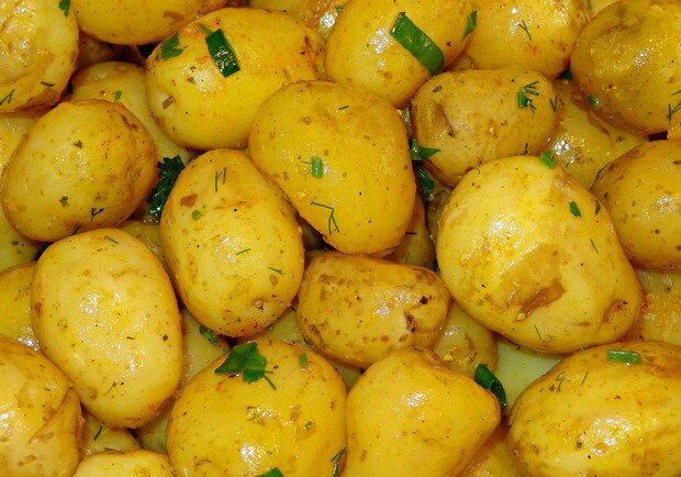 Де на цьому тижні у Києві пройдуть продуктові ярмарки. Адреси