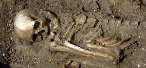 В Одесской области обнаружили скелетированное тело человека
