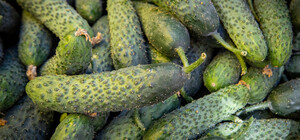 Де на цьому тижні у Києві пройдуть продуктові ярмарки. Адреси