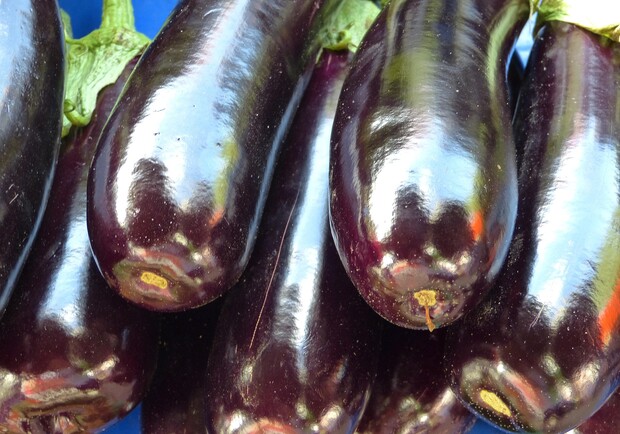 Де на цьому тижні у Києві пройдуть продуктові ярмарки. Адреси