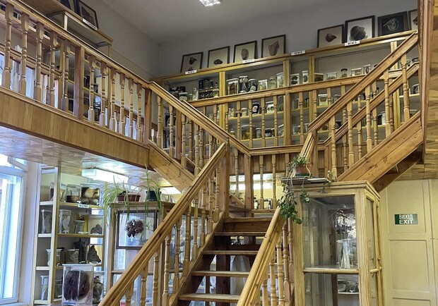 In-depth tour of the Museum of Human Diseases