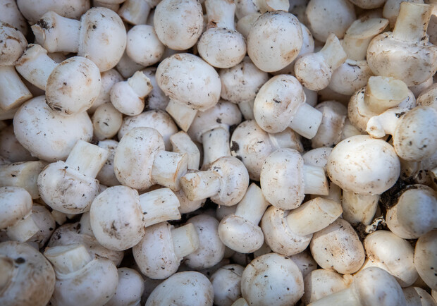 Де цими вихідними у Києві пройдуть продуктові ярмарки. Адреси