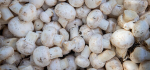 Где в эти выходные в Киеве пройдут продуктовые ярмарки. Адреса