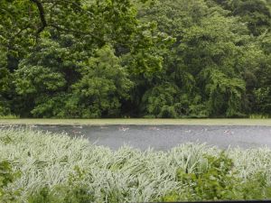Да уж, чистой воду в Днепре даже с натяжкой не назовешь. Фото с сайта www.sxc.hu.