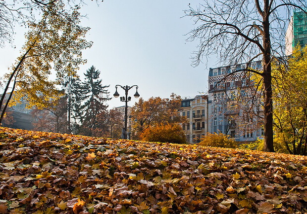 Глядя на такие фото, хочется встать и пойти гулять. Фото l_z_foto