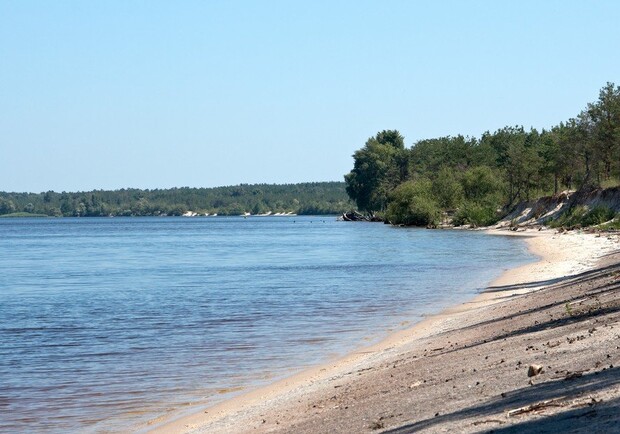 А на вид оно совсем неопасное. Фото osagi.hiblogger.net
