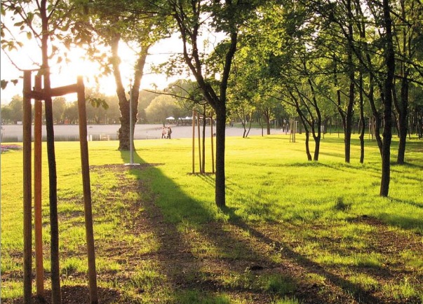 Парковые зоны будут отдавать в частные руки. Скриншот