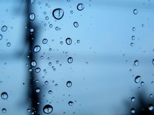 Сегодня синоптики обещают дождливую погоду. Фото с сайта sxc.hu