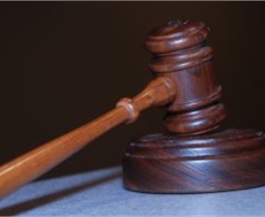Сегодня в Святошинском суде будут слушать резонансное дело об издевательстве над животными. Фото с сайта "Комсомольской правды" в Украине"
