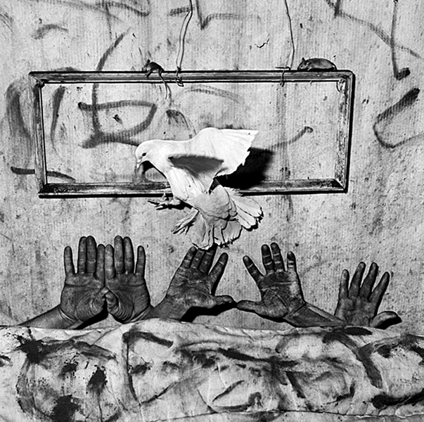 Дэвид Линч в фотографии. Так арт-критики называют работы Роджера Баллена. Фото rogerballen.com