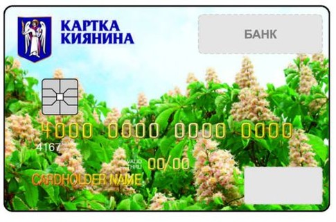 Так будет выглядеть пресловутая карточка. Фото с сайта газеты "Сегодня"