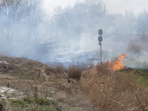 Пожар был довольно значительным. Фото: Данила Щербакова.