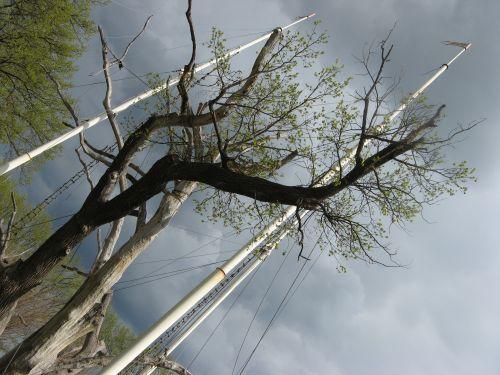 Фото reporter.zp.ua