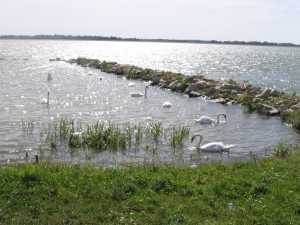 Температура воды в Днепре сегодня составляет 16 градусов тепла. Фото с сайта sxc.hu
