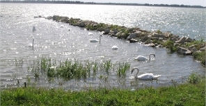 Вода в Днепре сегодня очень теплая. Фото с сайта sxc.hu