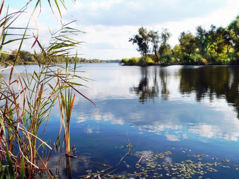 Вода так и манит,  но купаться  в ней опасно. Фото myzaporozhye.mirtesen.ru