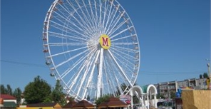 Фото iz.com.ua