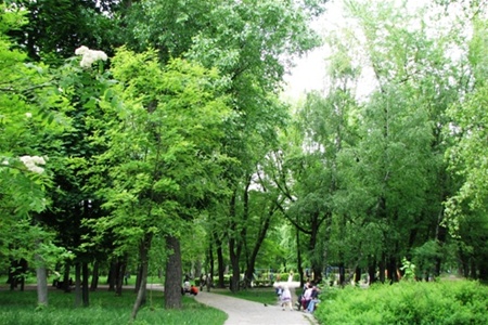 Незаконную парковку на Сырце ликвидировали. Фото с сайта obozrevatel.com