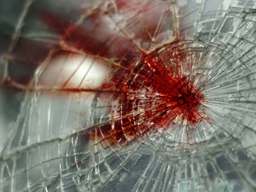 Фото: wday.ru