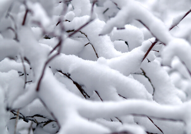 Фото wallpapers.ssdn.ru
