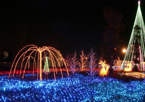 Фото: .fanpop.com