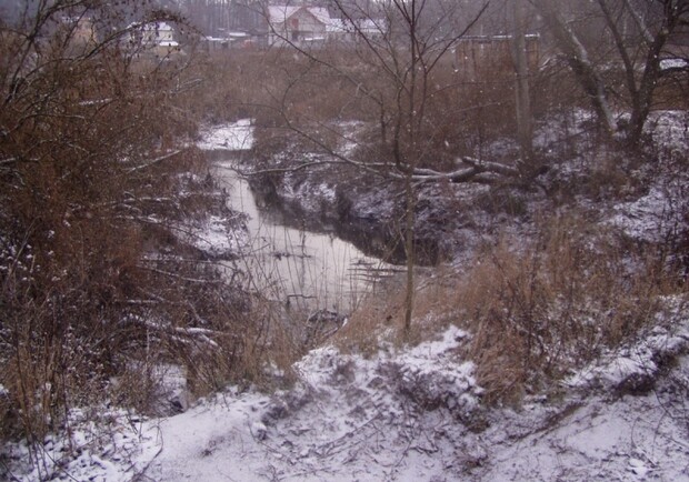Беличанский лес может стать национальным природным парком. Фото: DesertRat, io.ua