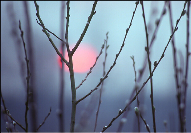 Фото: privet.ru