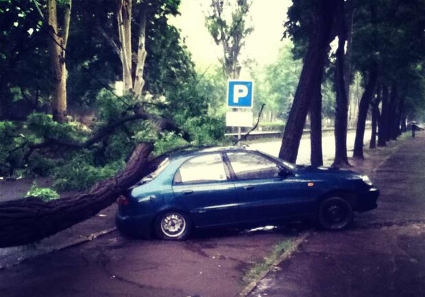 Фото: Егора Тимофеева