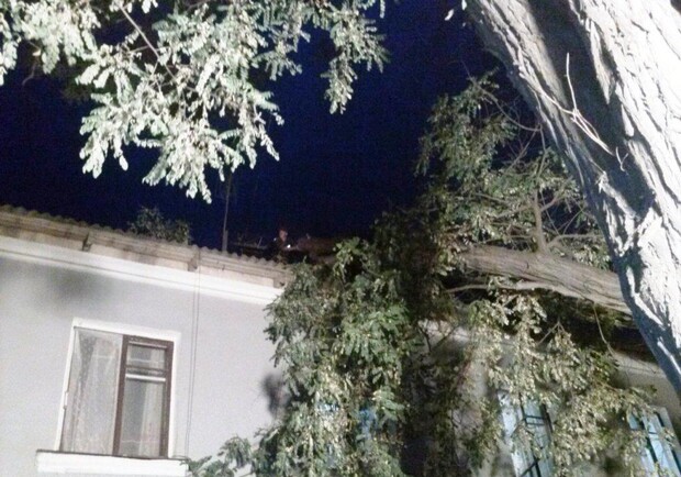 Фото zp.mns.gov.ua