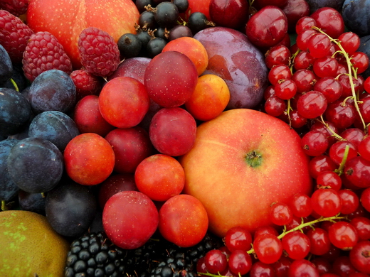 Новость - Общество - Присяжнюк: В Украине урожай плодов и ягод вырос на 31%