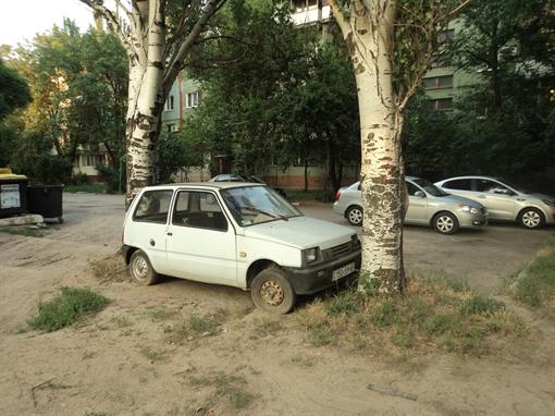 Фото: Юлии Маковоз