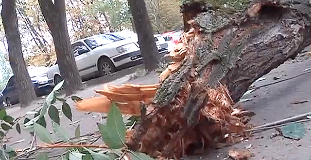 Кадр видео.