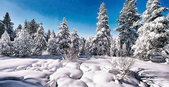 Фото rus.glas.org.ua.