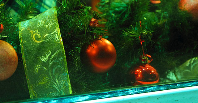 Новогодний На Первом 2014 Новогодний На Первом 2014