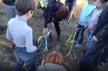 Деревце украсили сине-желтыми ленточками. Кадр из видео.
