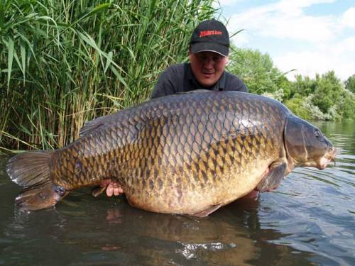 Фото: carpboat.ua 