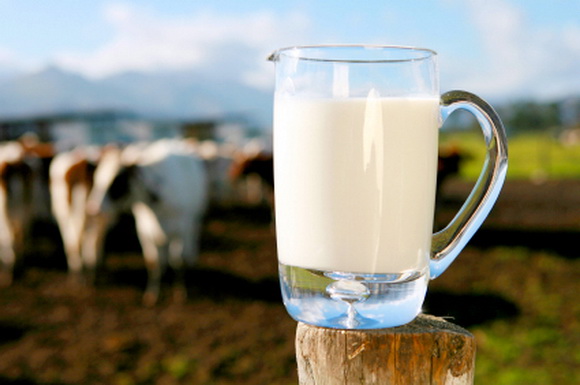 Красивые картинки с Днем молока (39 фото) 🔥 Прикольные картинки и юмор